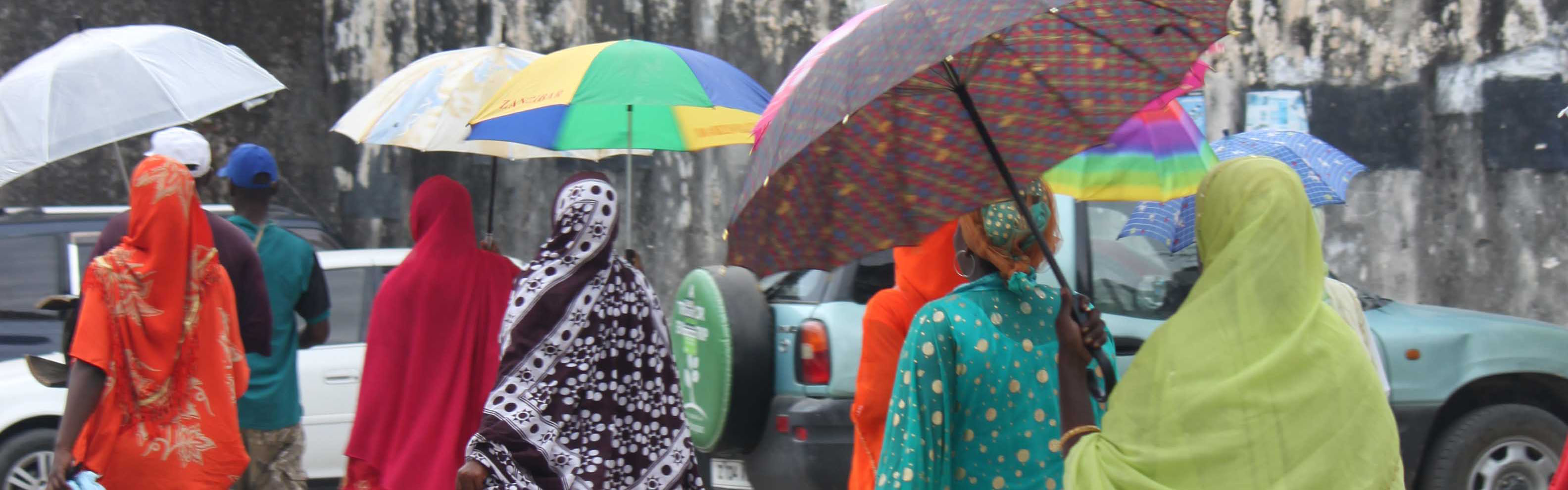 Nine individuals in brightly-colored garments walking along parked cars. Seven are carrying colorful umbrellas.